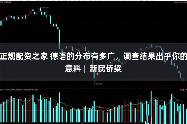 正规配资之家 德语的分布有多广，调查结果出乎你的意料 |  新民侨梁