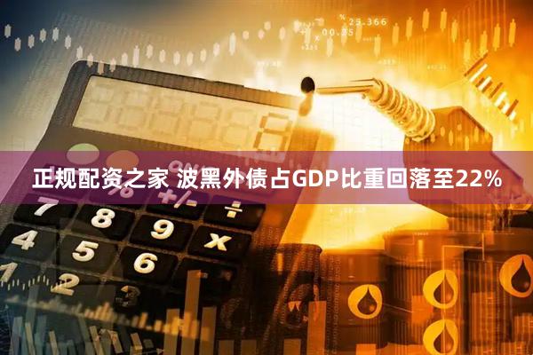 正规配资之家 波黑外债占GDP比重回落至22%