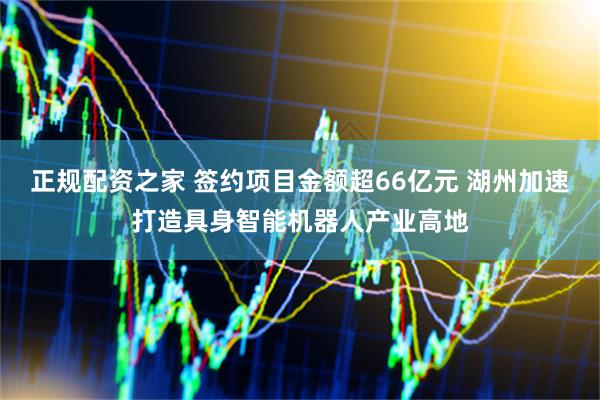 正规配资之家 签约项目金额超66亿元 湖州加速打造具身智能机器人产业高地