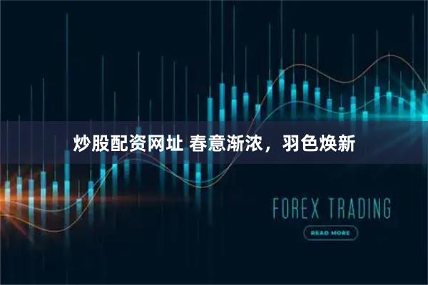 炒股配资网址 春意渐浓，羽色焕新