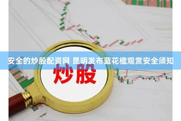 安全的炒股配资网 昆明发布蓝花楹观赏安全须知